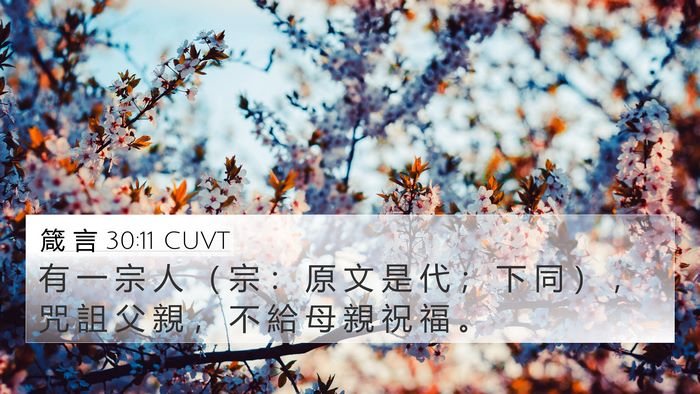箴 言 30:11 CUVT Bible Verse Image