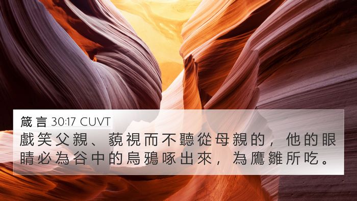箴 言 30:17 CUVT Bible Verse Image