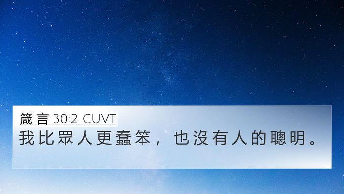 箴 言 30:2 CUVT Bible Verse Image