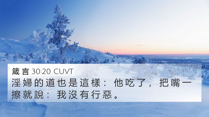 箴 言 30:20 CUVT Bible Verse Image