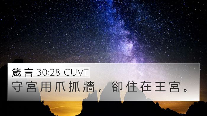 箴 言 30:28 CUVT 4K Wallpaper - 守 宮 用 爪 抓 牆 ， 卻 住 在 王 宮 - 4K Wallpaper Bible Verse