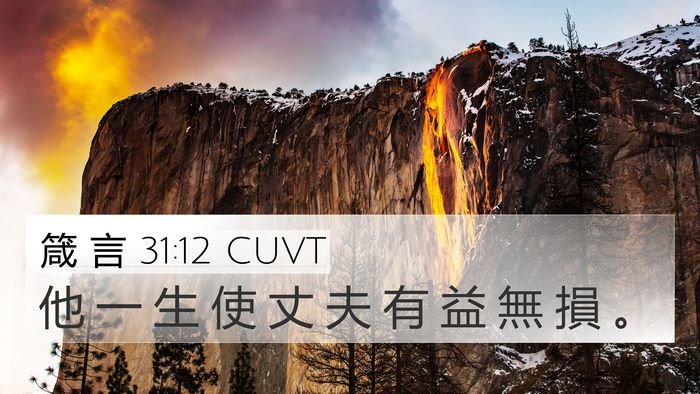 箴 言 31:12 CUVT 4K Wallpaper - 他 一 生 使 丈 夫 有 益 無 損 - 4K Wallpaper Bible Verse