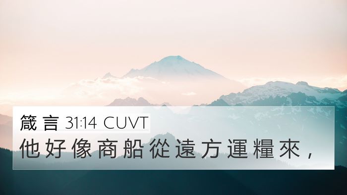 箴 言 31:14 CUVT 4K Wallpaper - 他 好 像 商 船 從 遠 方 運 糧 來 - 4K Wallpaper Bible Verse