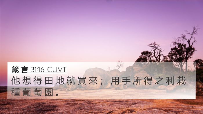 箴 言 31:16 CUVT 4K Wallpaper - 他 想 得 田 地 就 買 來 ； 用 手 所 - 4K Wallpaper Bible Verse