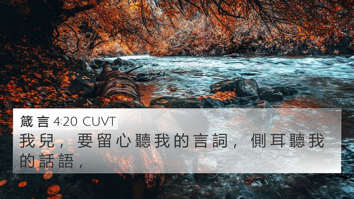 箴 言 4:20 CUVT Bible Verse Image