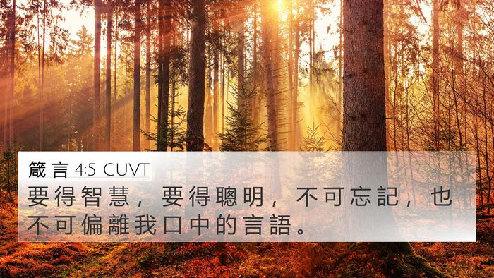 箴 言 4:5 CUVT Bible Verse Image