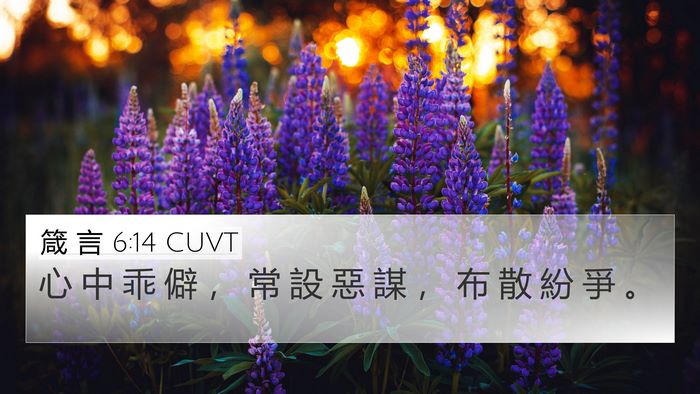 箴 言 6:14 CUVT Bible Verse Image
