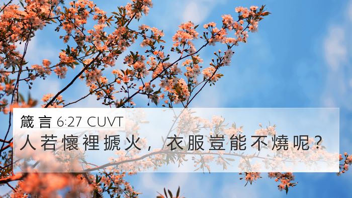 箴 言 6:27 CUVT Bible Verse Image