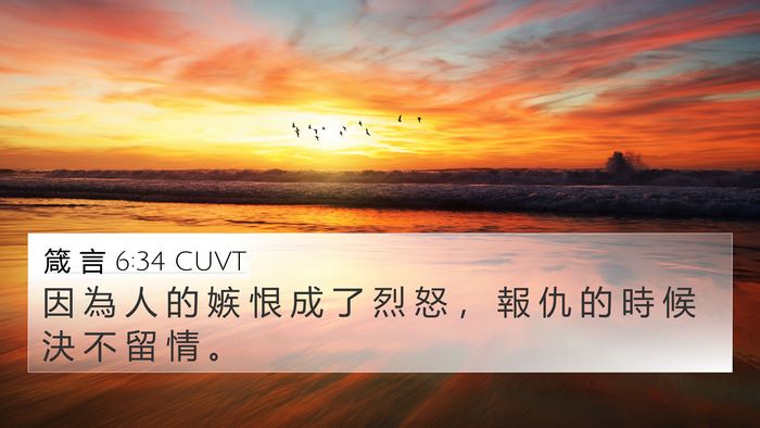箴 言 6:34 CUVT Bible Verse Image