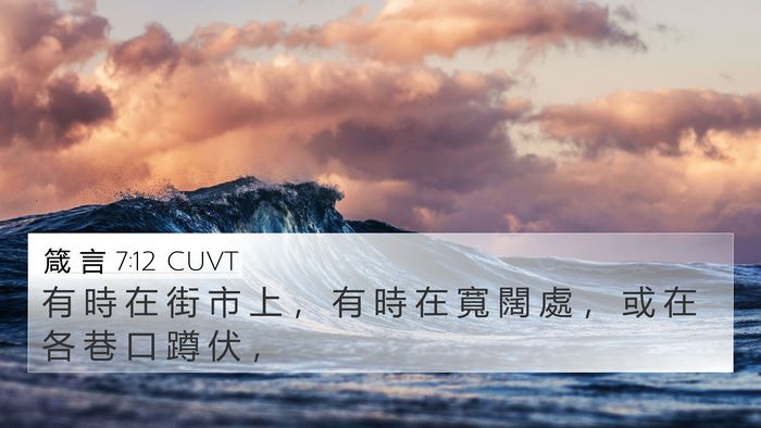 箴 言 7:12 CUVT 4K Wallpaper - 有 時 在 街 市 上 ， 有 時 在 寬 闊 - 4K Wallpaper Bible Verse