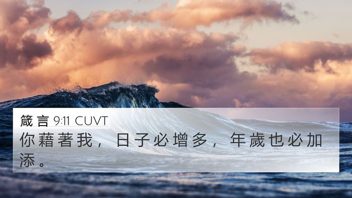 箴 言 9:11 CUVT Bible Verse Image