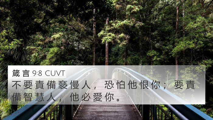 箴 言 9:8 CUVT Bible Verse Image