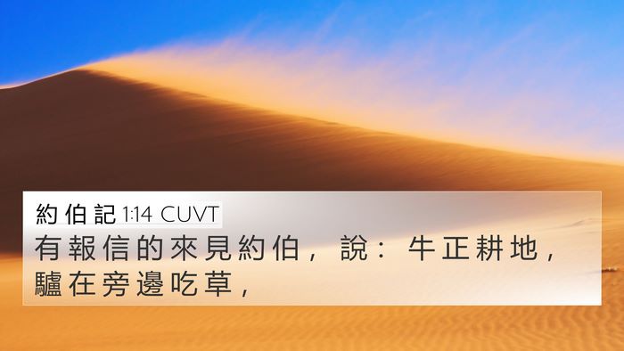 約 伯 記 1:14 CUVT 4K Wallpaper - 有 報 信 的 來 見 約 伯 ， 說 ： 牛 - 4K Wallpaper Bible Verse