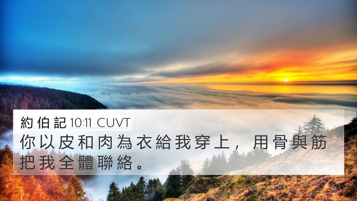 約 伯 記 10:11 CUVT 4K Wallpaper - 你 以 皮 和 肉 為 衣 給 我 穿 上 ， - 4K Wallpaper Bible Verse