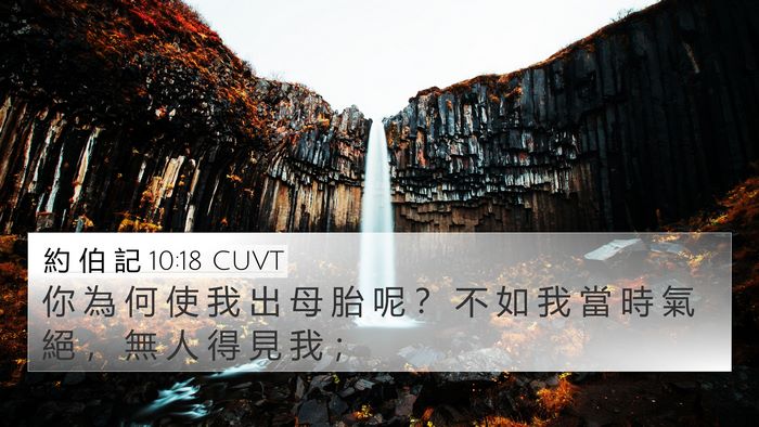 約 伯 記 10:18 CUVT Bible Verse Image
