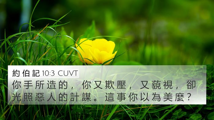 約 伯 記 10:3 CUVT 4K Wallpaper - 你 手 所 造 的 ， 你 又 欺 壓 ， 又 - 4K Wallpaper Bible Verse