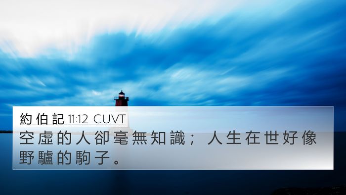 約 伯 記 11:12 CUVT Bible Verse Image
