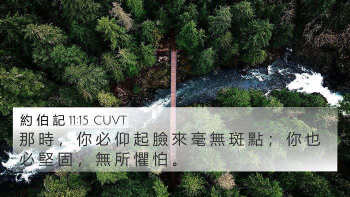 約 伯 記 11:15 CUVT Bible Verse Image