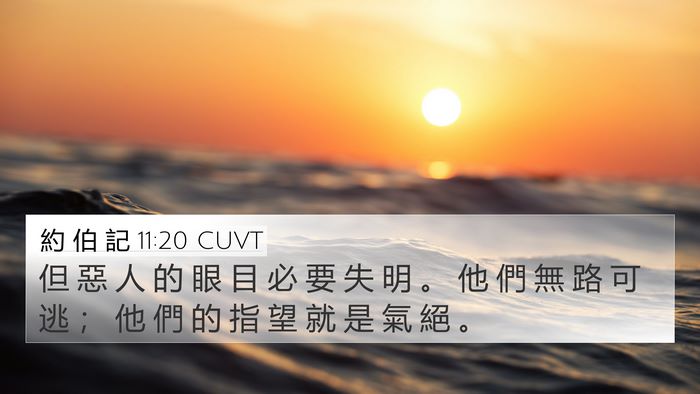 約 伯 記 11:20 CUVT Bible Verse Image