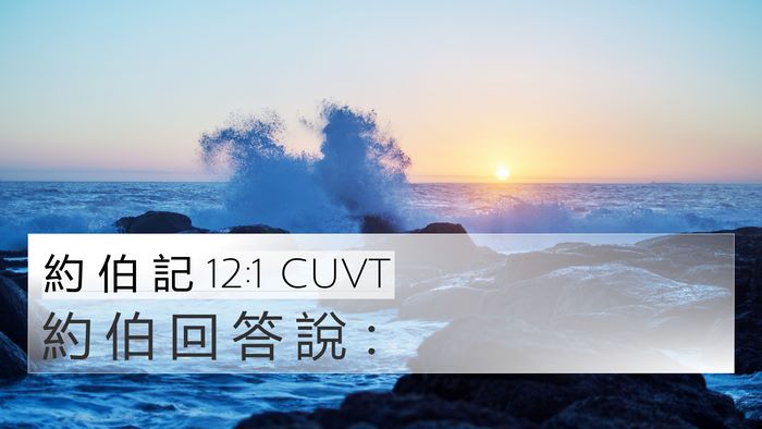 約 伯 記 12:1 CUVT 4K Wallpaper - 約 伯 回 答 說 - 4K Wallpaper Bible Verse