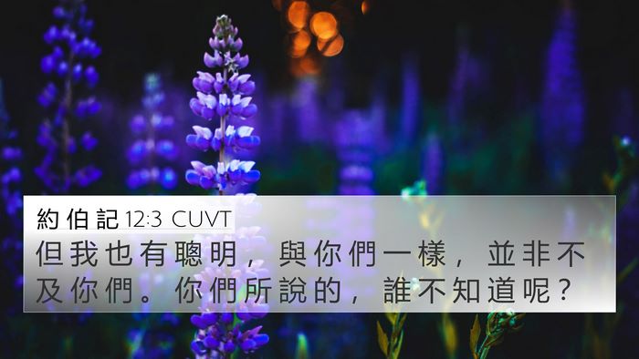 約 伯 記 12:3 CUVT 4K Wallpaper - 但 我 也 有 聰 明 ， 與 你 們 一 樣 - 4K Wallpaper Bible Verse