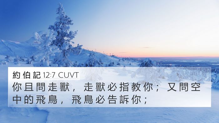 約 伯 記 12:7 CUVT Bible Verse Image