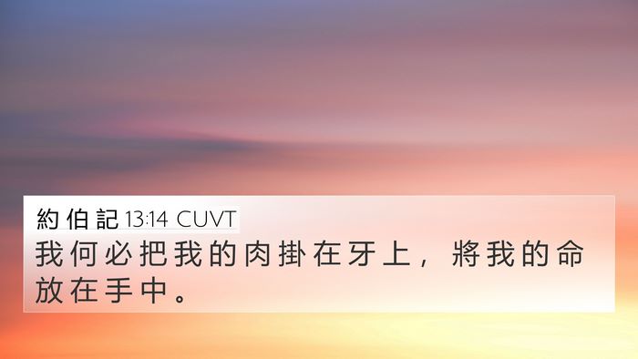 約 伯 記 13:14 CUVT Bible Verse Image