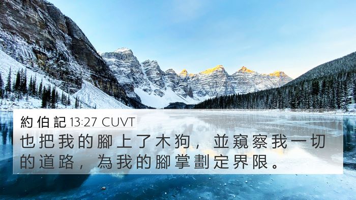 約 伯 記 13:27 CUVT Bible Verse Image