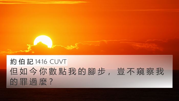 約 伯 記 14:16 CUVT Bible Verse Image