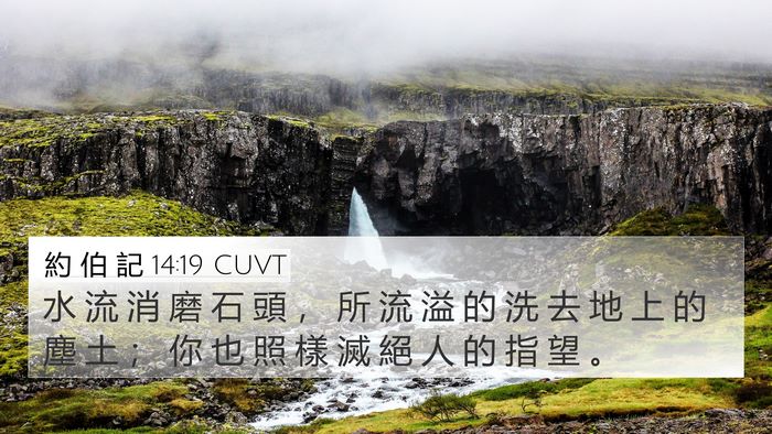 約 伯 記 14:19 CUVT Bible Verse Image