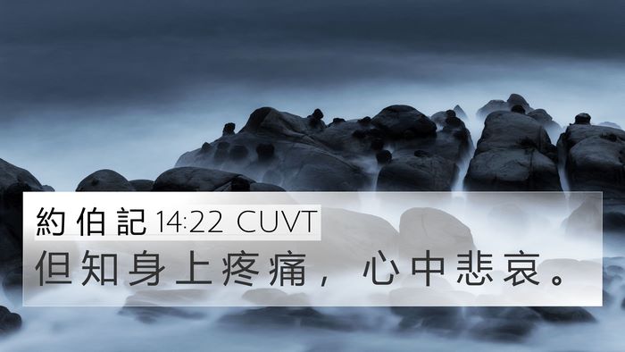 約 伯 記 14:22 CUVT Bible Verse Image