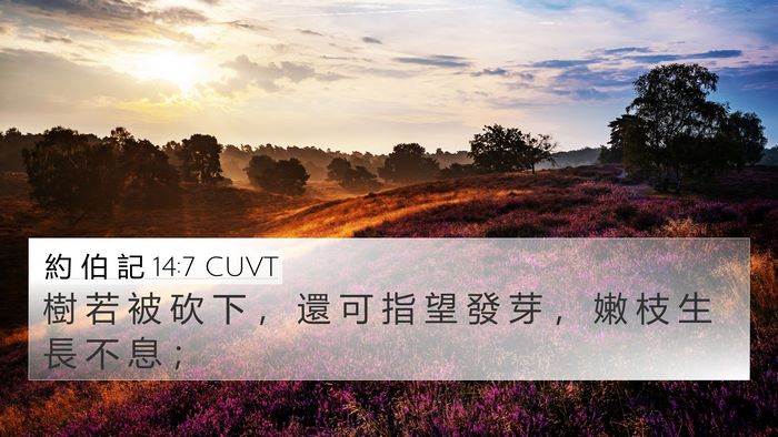 約 伯 記 14:7 CUVT 4K Wallpaper - 樹 若 被 砍 下 ， 還 可 指 望 發 芽 - 4K Wallpaper Bible Verse