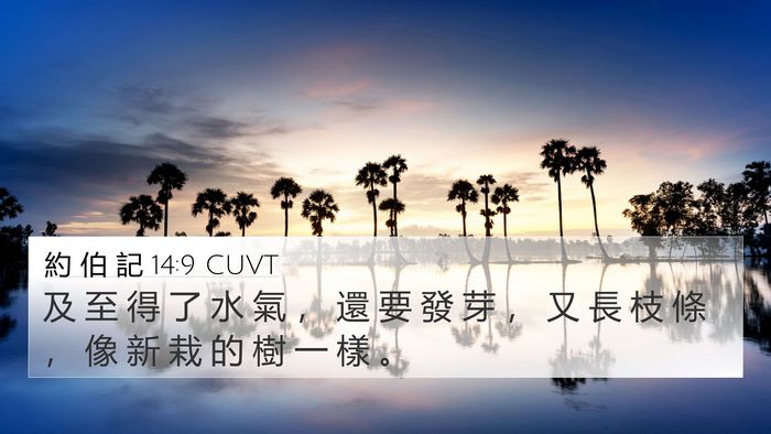 約 伯 記 14:9 CUVT 4K Wallpaper - 及 至 得 了 水 氣 ， 還 要 發 芽 ， - 4K Wallpaper Bible Verse
