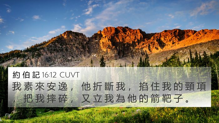 約 伯 記 16:12 CUVT Bible Verse Image