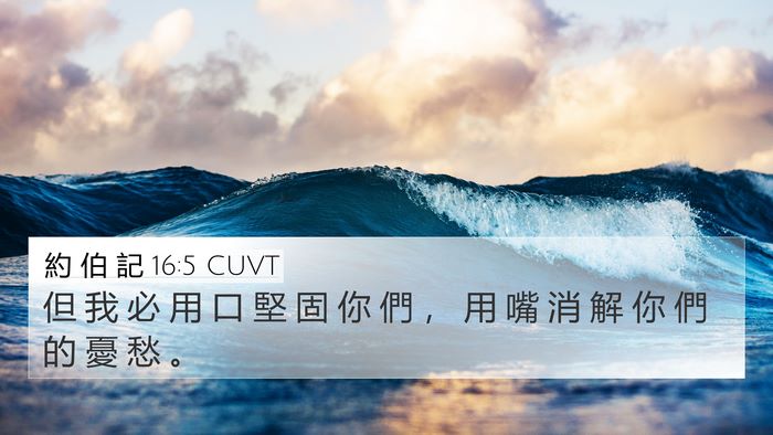 約 伯 記 16:5 CUVT Bible Verse Image