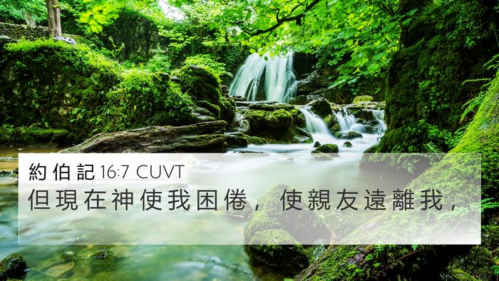 約 伯 記 16:7 CUVT Bible Verse Image