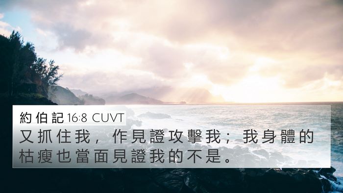 約 伯 記 16:8 CUVT Bible Verse Image