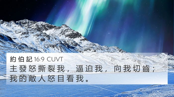 約 伯 記 16:9 CUVT Bible Verse Image