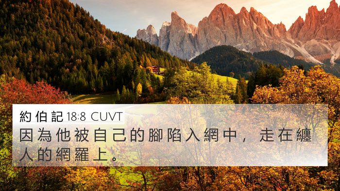 約 伯 記 18:8 CUVT Bible Verse Image
