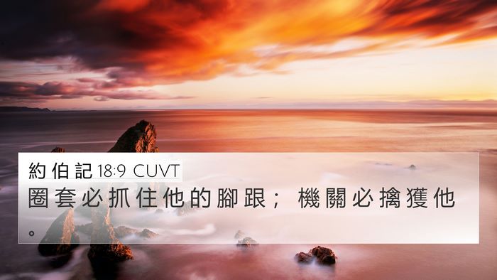 約 伯 記 18:9 CUVT 4K Wallpaper - 圈 套 必 抓 住 他 的 腳 跟 ； 機 關 - 4K Wallpaper Bible Verse