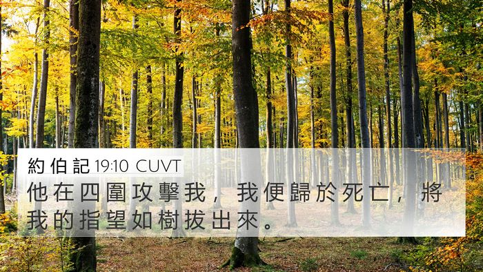 約 伯 記 19:10 CUVT Bible Verse Image
