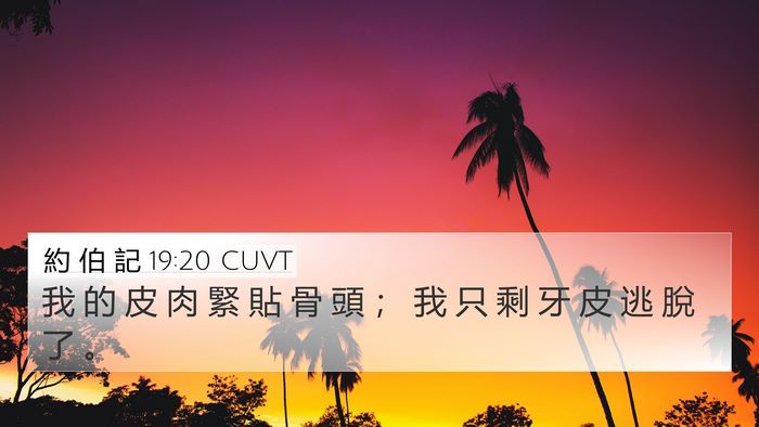 約 伯 記 19:20 CUVT Bible Verse Image