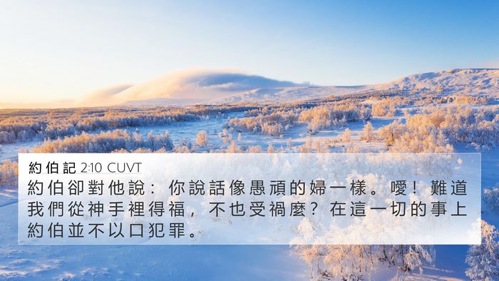 約 伯 記 2:10 CUVT Bible Verse Image