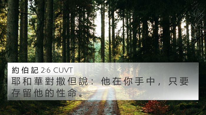 約 伯 記 2:6 CUVT Bible Verse Image