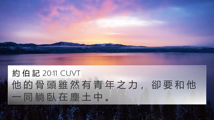 約 伯 記 20:11 CUVT Bible Verse Image