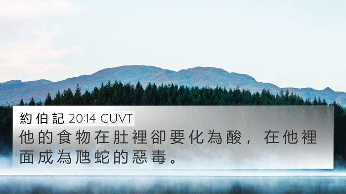 約 伯 記 20:14 CUVT Bible Verse Image