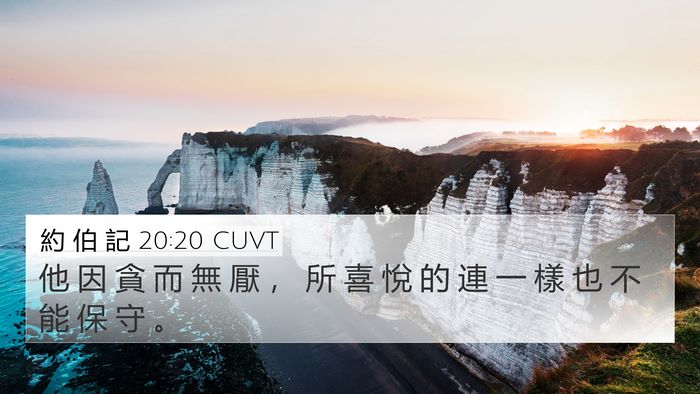 約 伯 記 20:20 CUVT Bible Verse Image