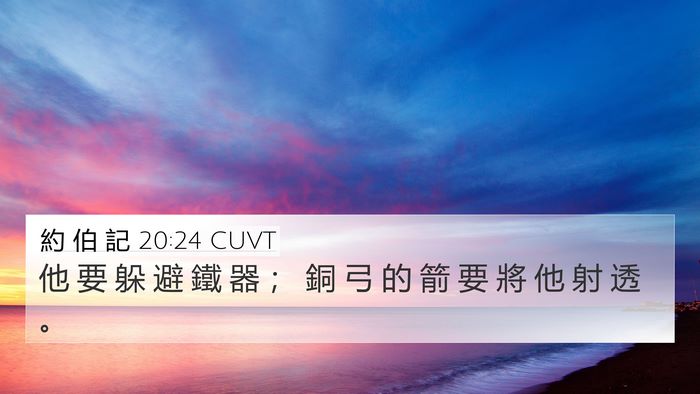 約 伯 記 20:24 CUVT Bible Verse Image
