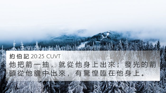約 伯 記 20:25 CUVT Bible Verse Image