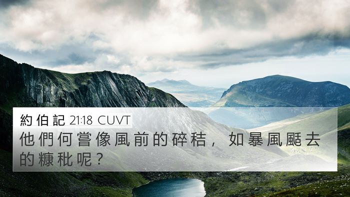 約 伯 記 21:18 CUVT Bible Verse Image